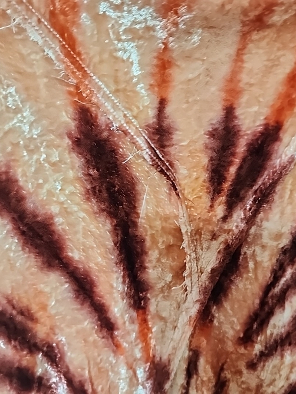 Free People Swagger Tie- Dye Midi Skirt. Large - Picture 6 of 8